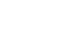 Really Wildlife