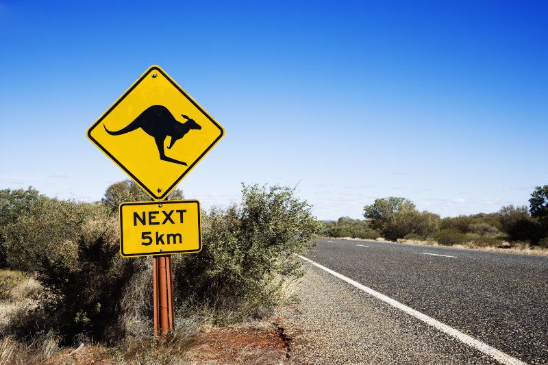 Kangaroo next 5 kilometres sign along a road in Australia