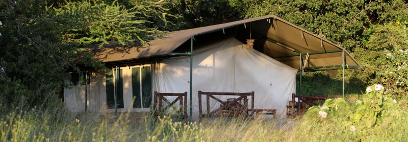 A safari tent in a grassy meadow