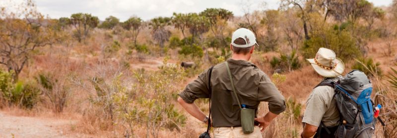 Safari Hats: The Best Hats To Wear On Safari | Really Wildlife